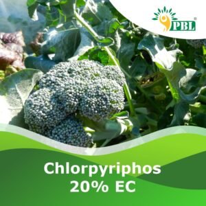 Chlorpyrifos 20% EC