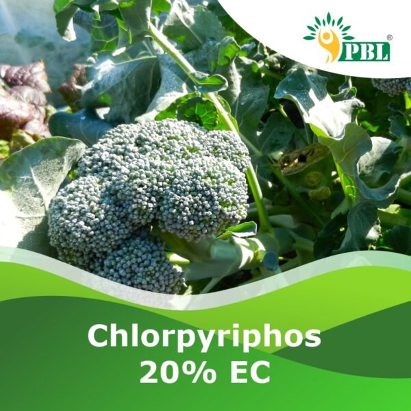 Chlorpyrifos 20% EC