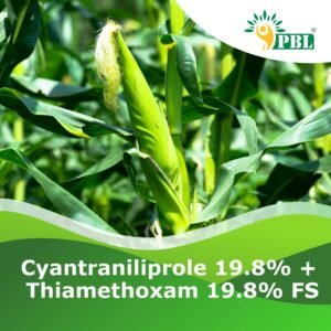 Cyantraniliprole 19.8% + Thiamethoxam 19.8% FS