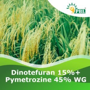Dinotefuran 15% +Pymetrozine 45% WG