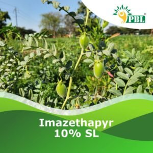 Imazethapyr 10% SL