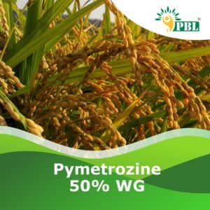 Pymetrozine 50% WG