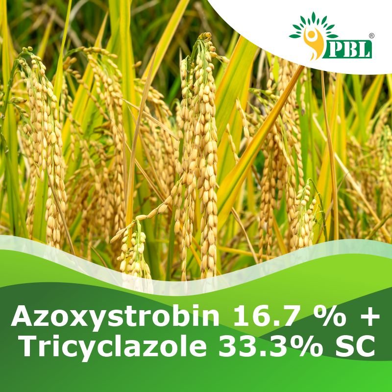 AZOXYSTROBIN 16.7 % + TRICYCLAZOLE 33.3% SC