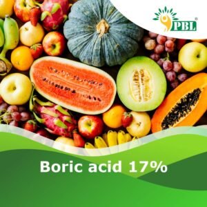 Boric acid 17%