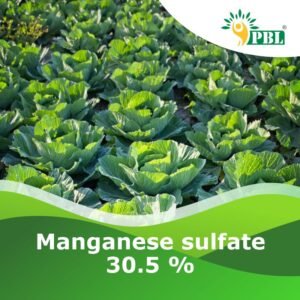 Manganese sulfate 30.5 %