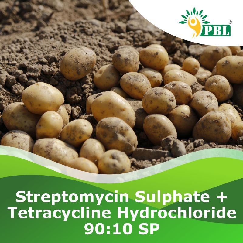 Streptomycin Sulphate + Tetracycline Hydrochloride 9010 SP