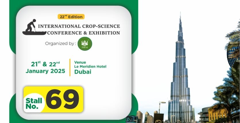 PMFAI dubai
