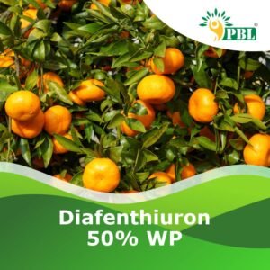 Diafenthiuron 50% WP