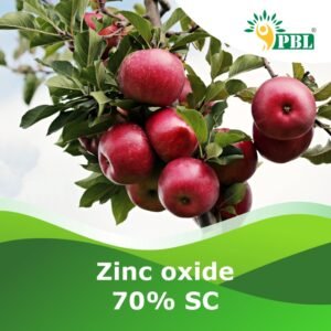 Zinc oxide 70