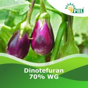 Dinotefuran 70% WG