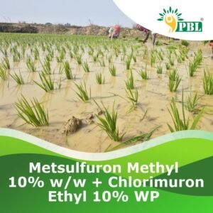Metsulfuron Methyl 10% ww + Chlorimuron Ethyl 10% WP