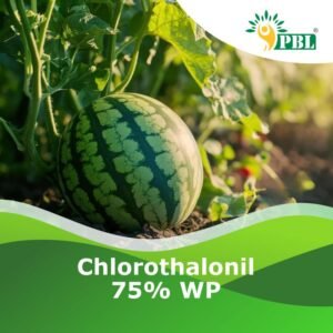 Chlorothalonil 75% WP