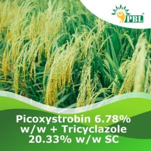 Picoxystrobin 6.78% ww + Tricyclazole 20.33% ww SC
