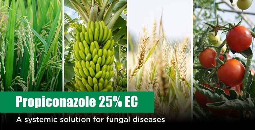 Propiconazole 25% EC
