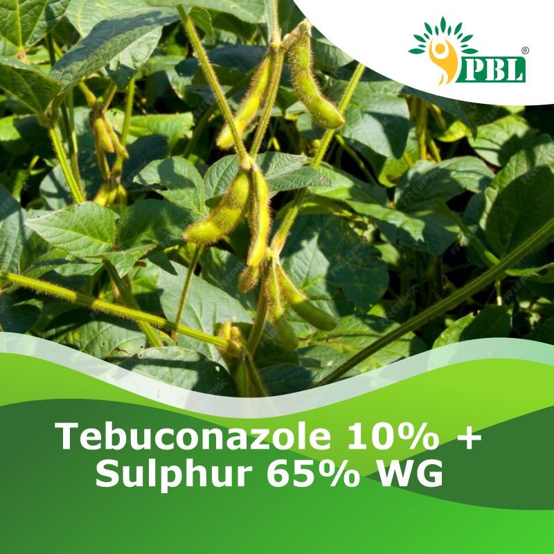 Tebuconazole 10% + Sulphur 65% WG