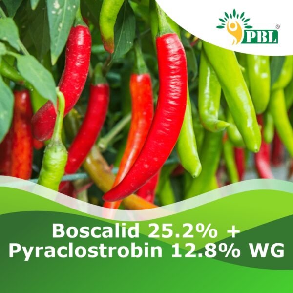 Boscalid 25.2% + Pyraclostrobin 12.8% WG