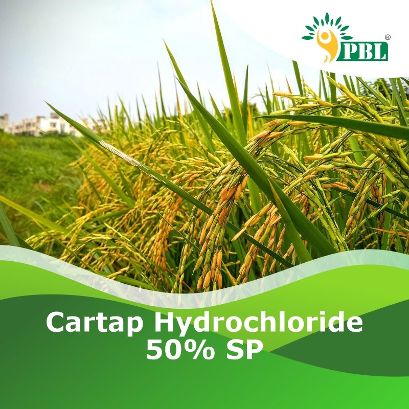Cartap Hydrochloride 50% SP