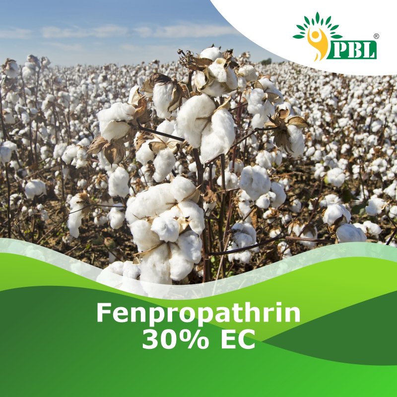 Fenpropathrin 30% EC