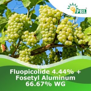 Fluopicolide Fosetyl-Aluminum