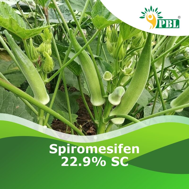 Spiromesifen 22.9% SC