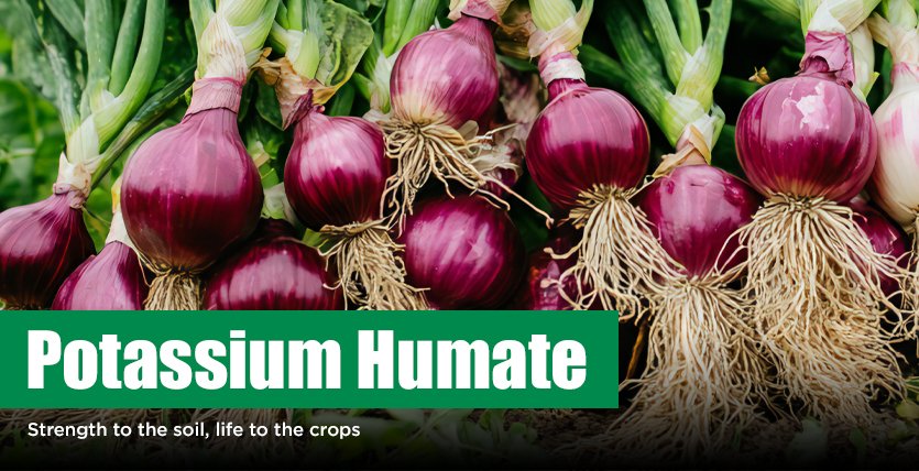 Potassium Humate