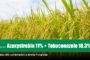 Azoxystrobin 11% + Tebuconazole 18.3% SC
