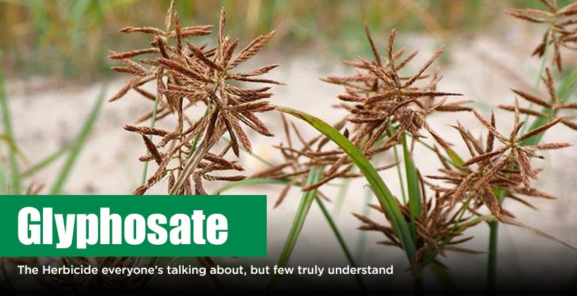 Glyphosate