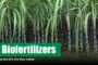 Types of Biofertilizers