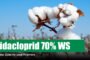 Imidacloprid 70% WS