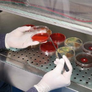 Laboratory 2
