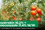 Azoxystrobin 18.2% + Difenoconazole 11.4% W/W: Strong Combination for Complete Disease Protection