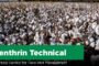 Bifenthrin Technical: Fast-Acting Control for Field Pest Management