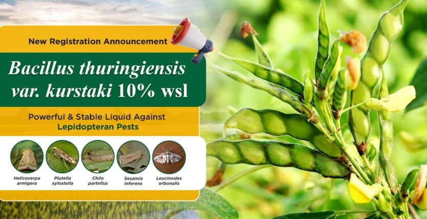 Bacillus thuringiensis var. kurstaki