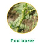 Pod borer