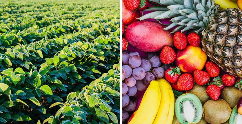 Why Biological Solutions Are Becoming Important