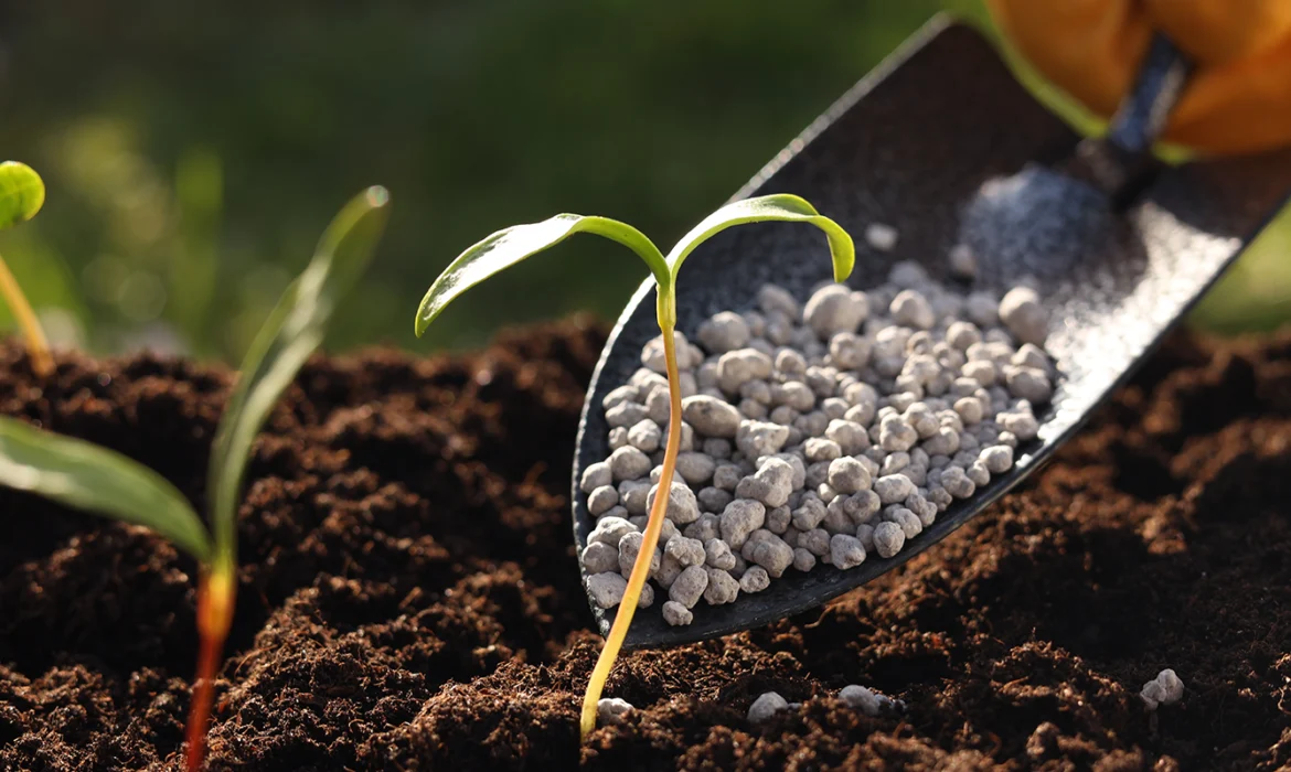 An Approach Towards A Green Future: A Shift From Traditional Fertilizers To Modern Fertilizers