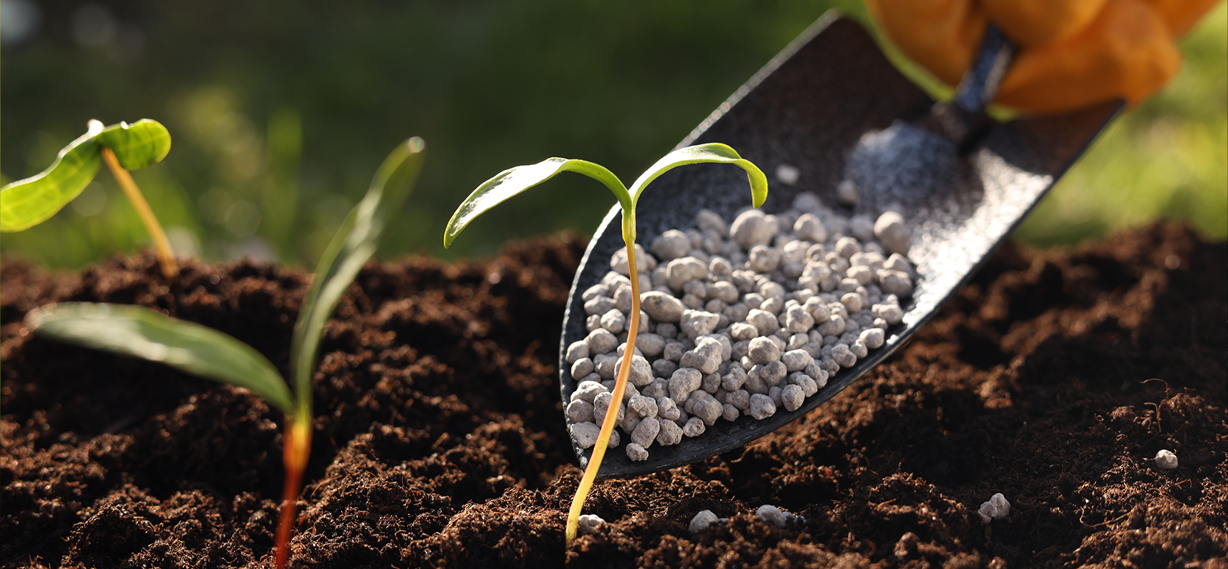 An Approach Towards A Green Future: A Shift From Traditional Fertilizers To Modern Fertilizers