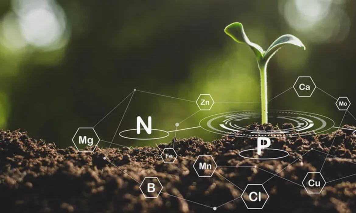 Bio-Chelate Fertilizers: An Easily Absorbable Form Of Nutrients