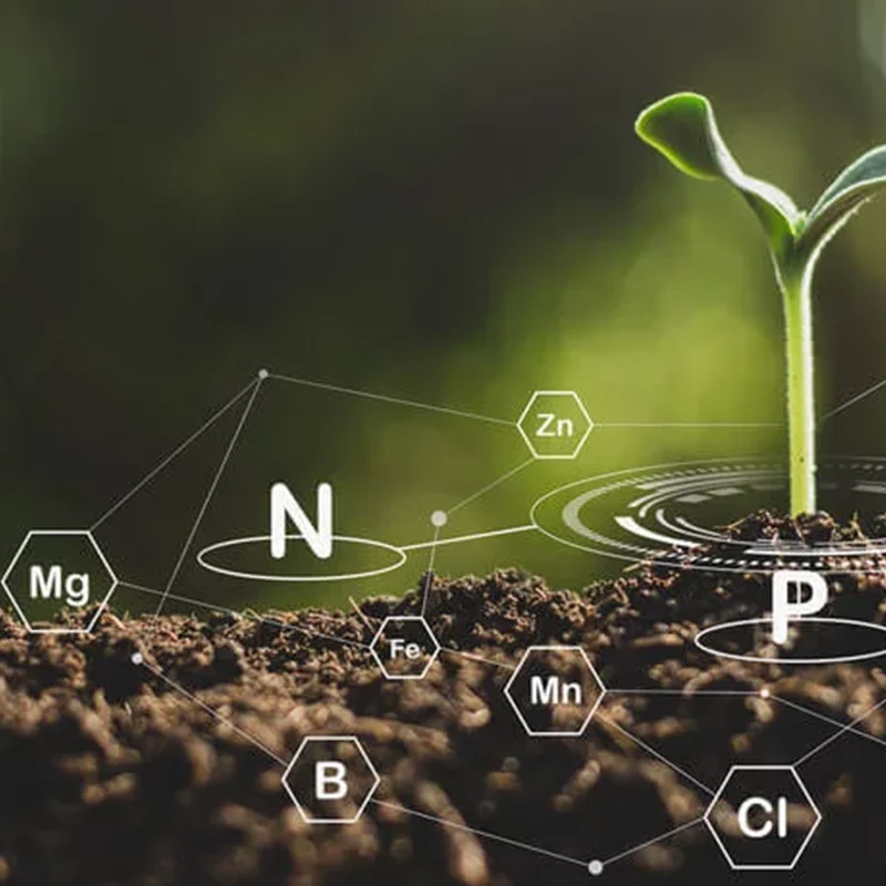 Bio-Chelate Fertilizers: An Easily Absorbable Form Of Nutrients