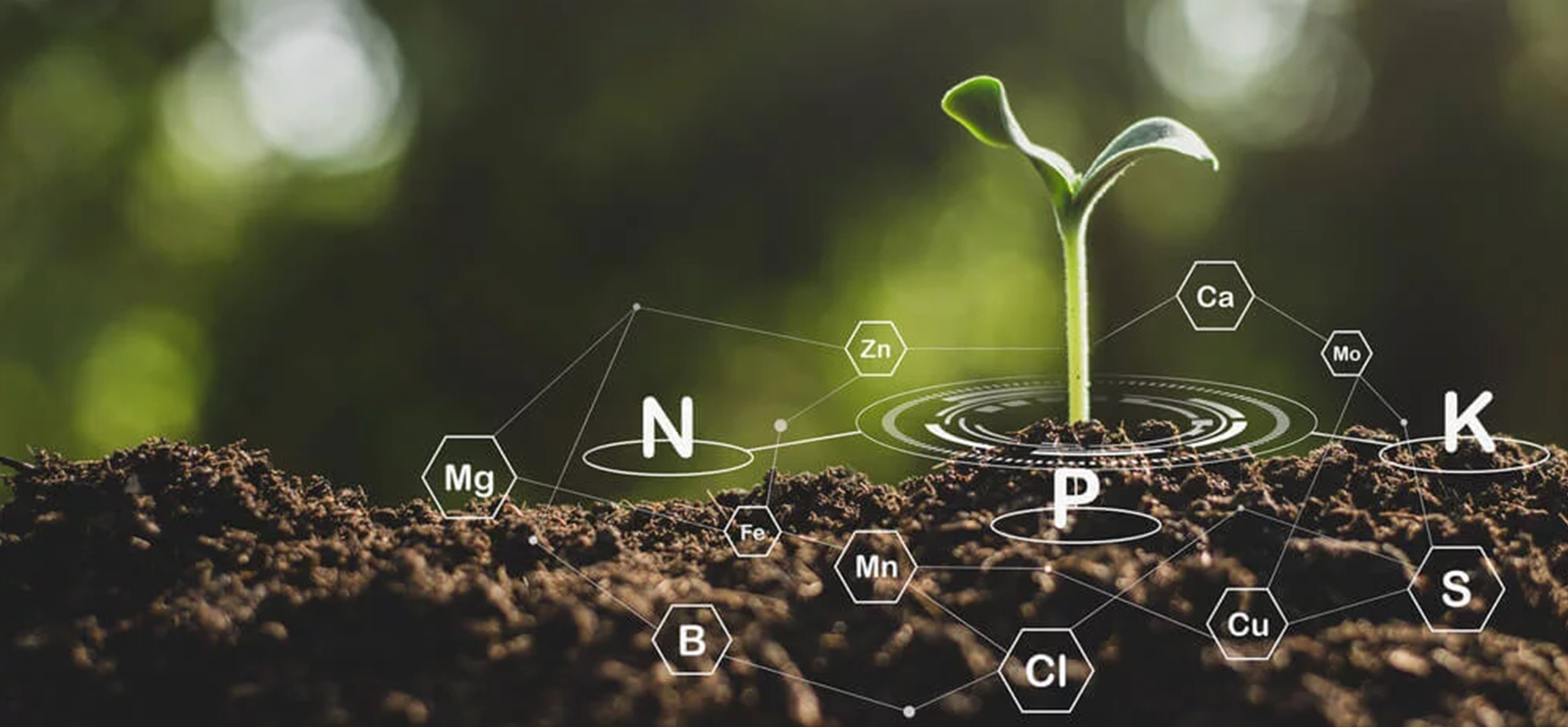 Bio-Chelate Fertilizers: An Easily Absorbable Form Of Nutrients