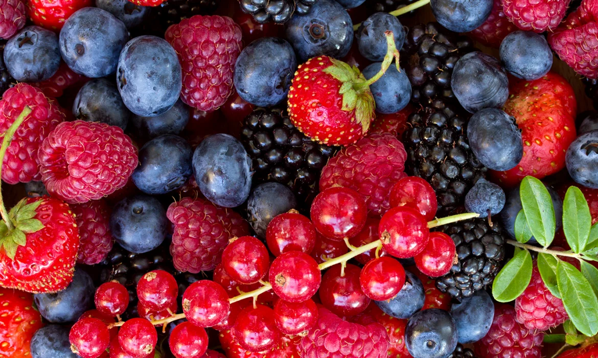 Burgeoning Better Berries