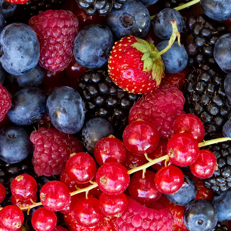 Burgeoning Better Berries