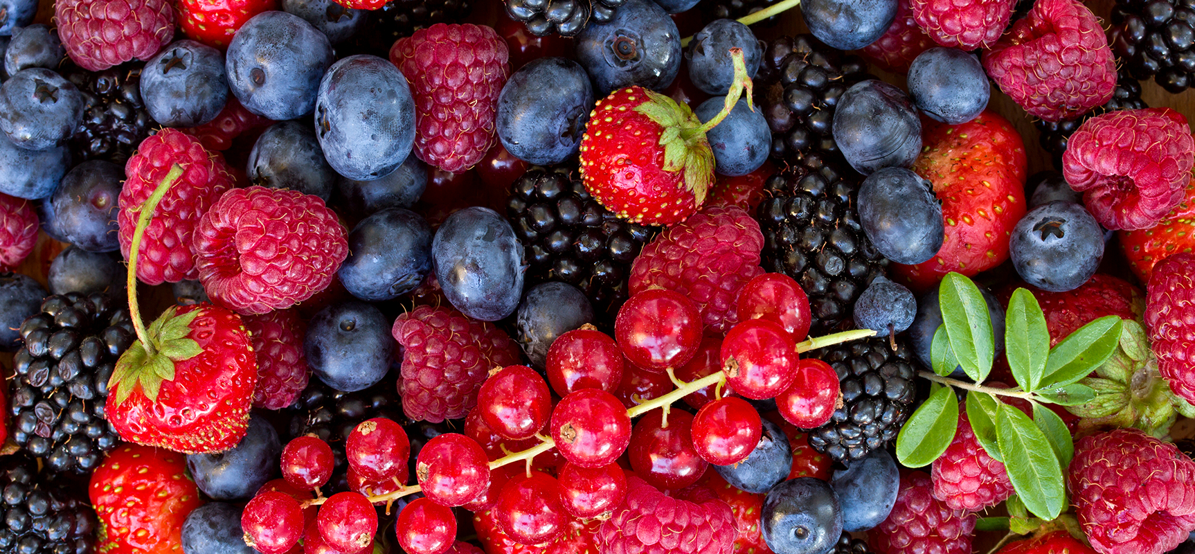 Burgeoning Better Berries
