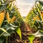 Insecticides Market Trends 2025: What Every Agri Brand Needs to Know