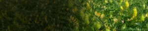Novaluron 5.25% + Indoxacarb 4.5% w/w SC