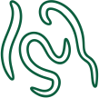 Nematode Infestation Peptech Biosciences Ltd