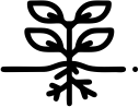 Plant Based Origin Peptech Biosciences Ltd.