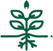 Poor Root Development Peptech Biosciences Ltd